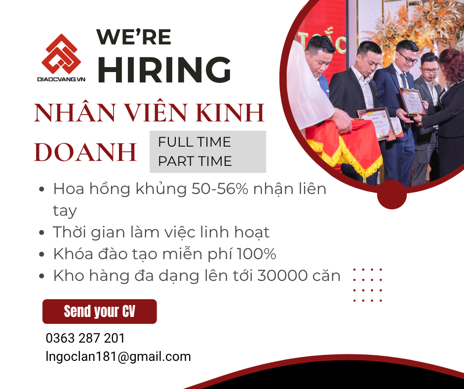 lĩnh vực hoạt động